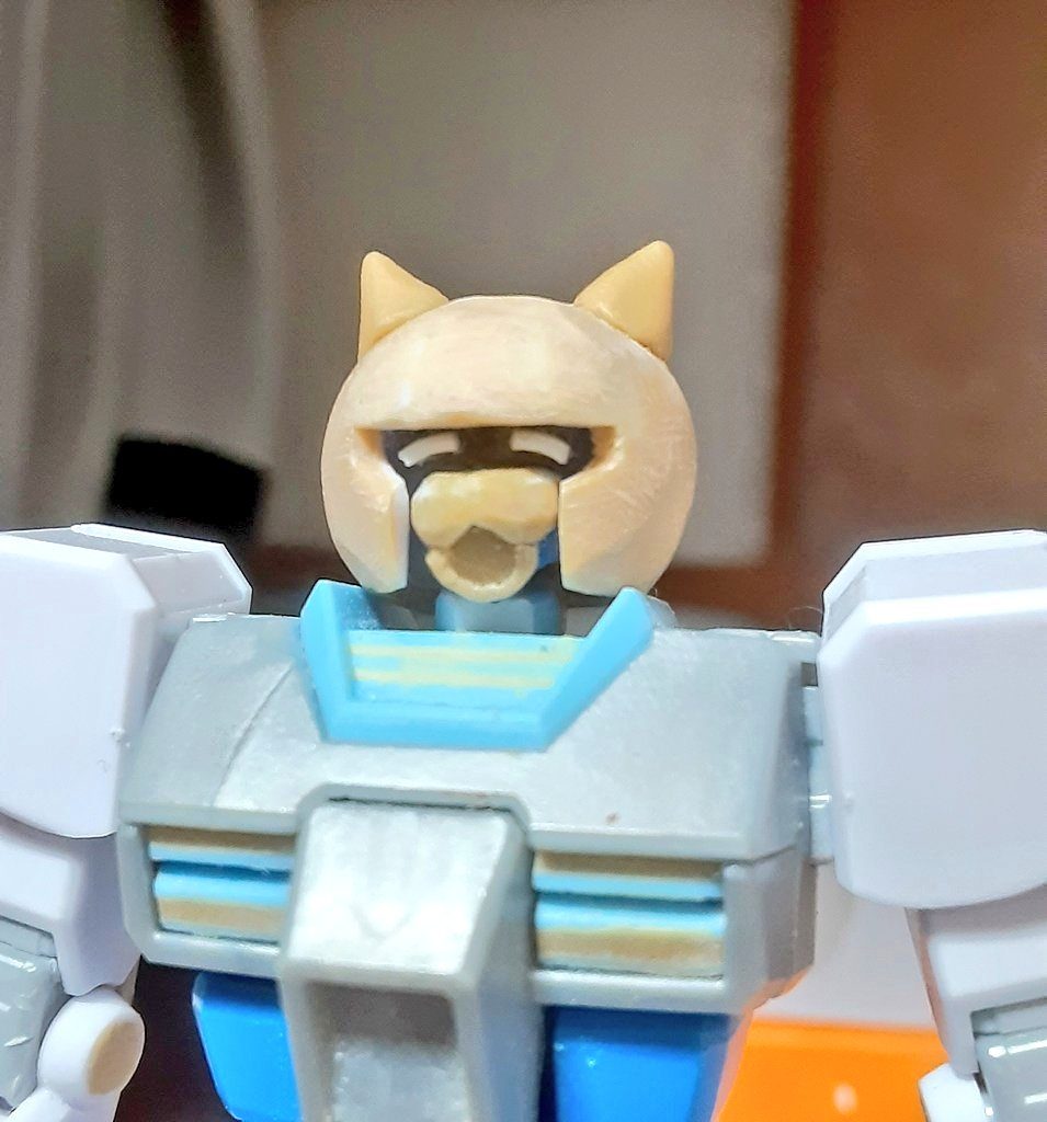 塗装前顔アップ