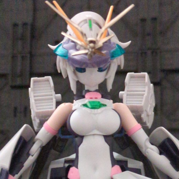 サイコプレートPlus+ＴＲ−６アチェルビーspecII