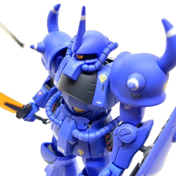 HGUCヴィッシュ・ドナヒュー専用グフ