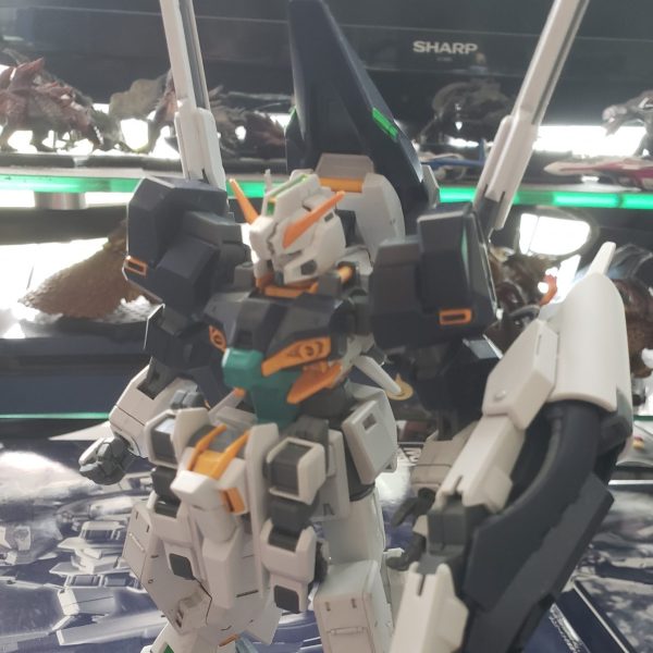 HGハイゼンスレイ