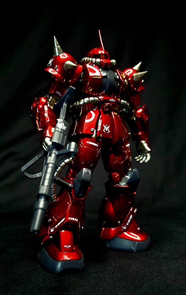 ライト使用で撮影。反射しすぎて思うように撮影できず写真撮影難しい