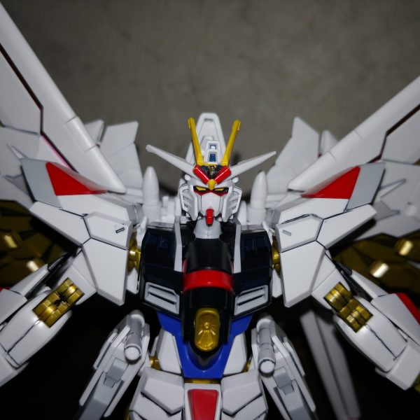Mighty Strike Freedom GUNDAM 完成