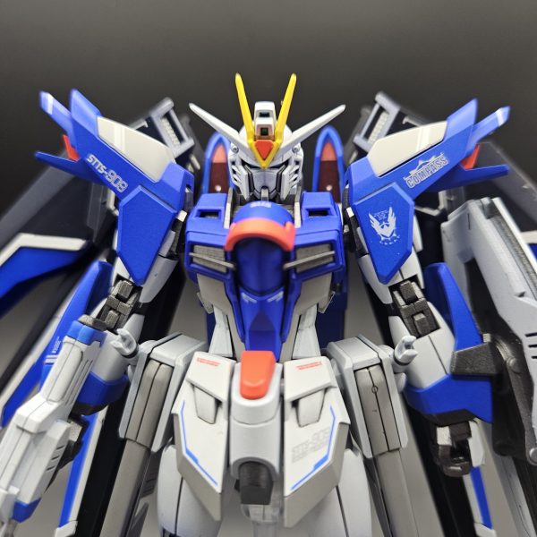 ガンプラHG・RG キラ・ヤマト搭乗機体 組立て済みセット【ジャンク】 キラ・ヤマト、フリーダム行きます‼️」｜nisikazeさんの