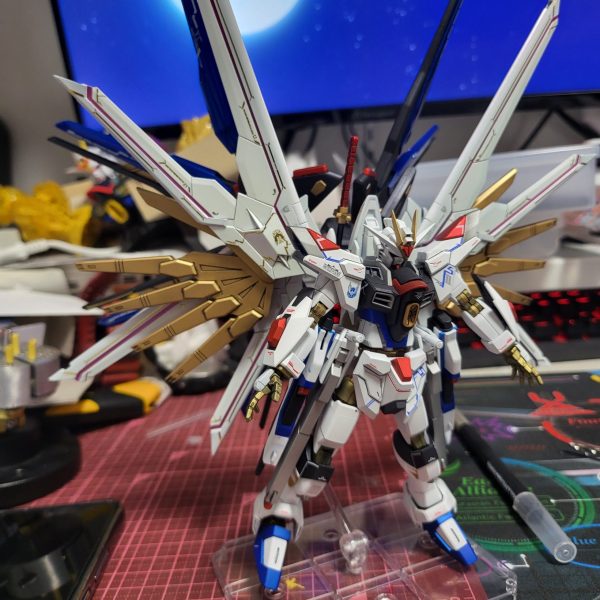 マイティードラグーンストライクフリーダムガンダム