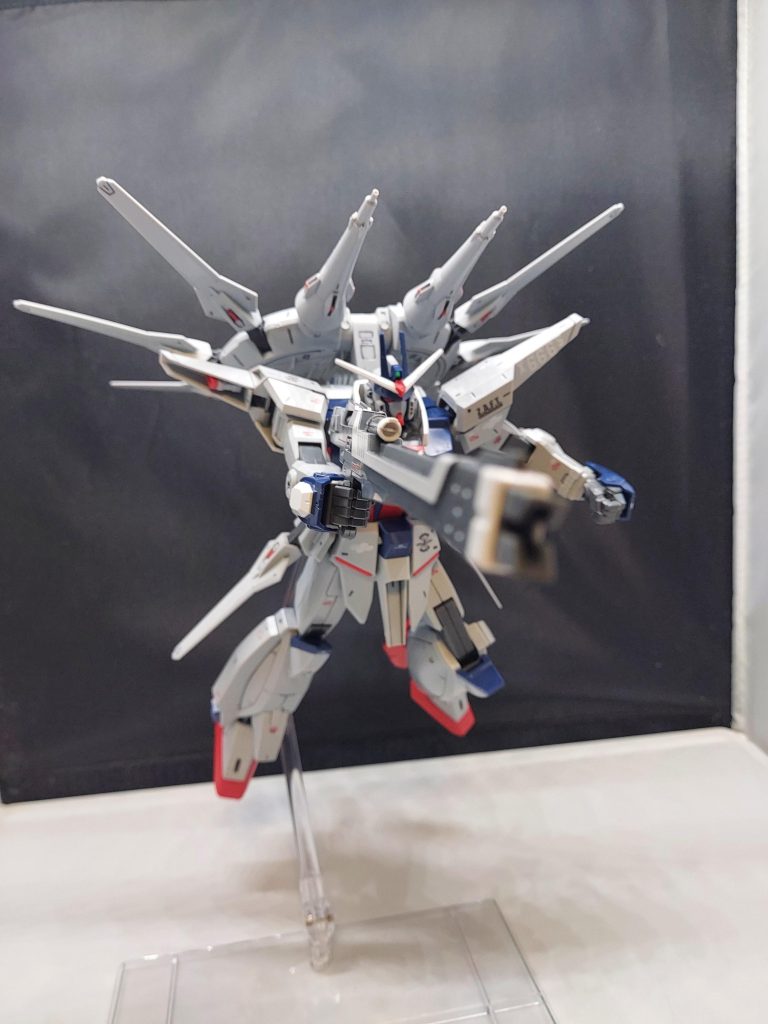 バックパックもしっかり前方に向けることができますし、ドラグーンも全て外せるので飾りがいがありますね✨