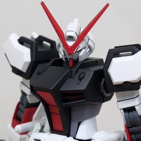 GAT-02L2/o ダガーL（オーブ運用機）