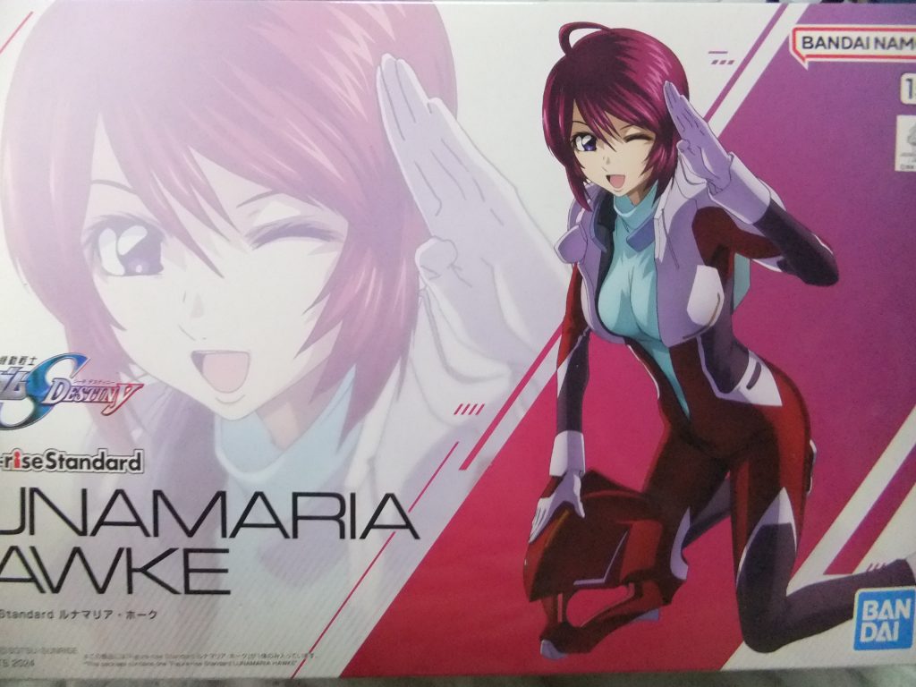 公式のボックスアート💦コレをそのままポージングさせるとレギュレーションに引っかかる可能性が高いので?今回はパチ組みと塗装は胸元クローズ状態の塗装済み仕上げをお贈りします🙇