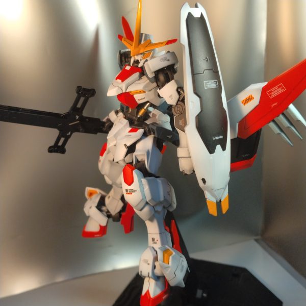 HG端白星第2形態