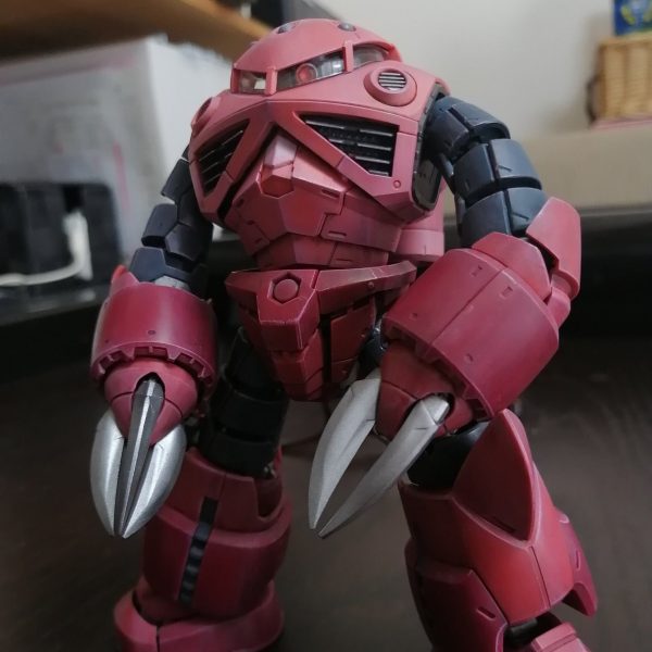 RG　ｽﾞｺﾞｯｸ