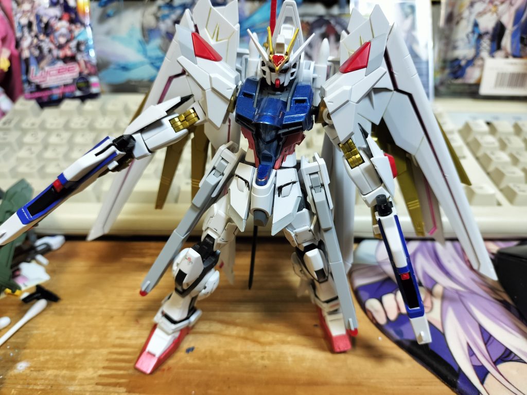 ディスラプター　マイフリの両腕とレールガン装備