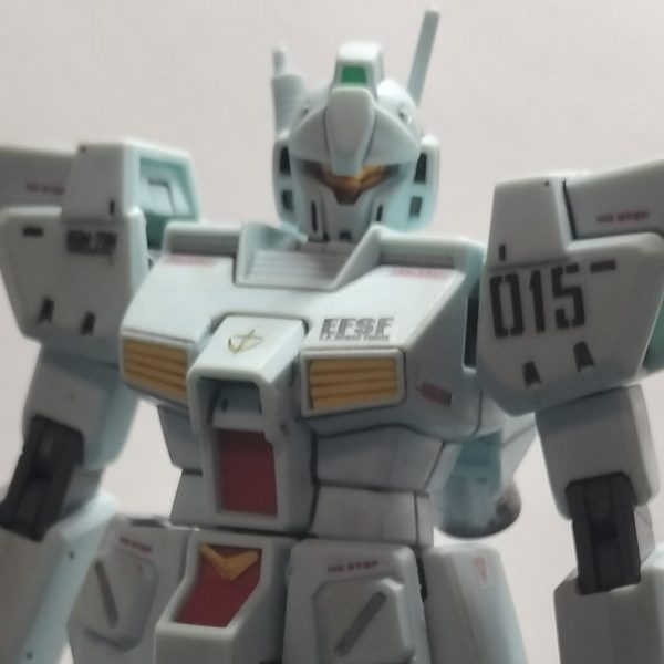 ジム・カスタム(素組み)