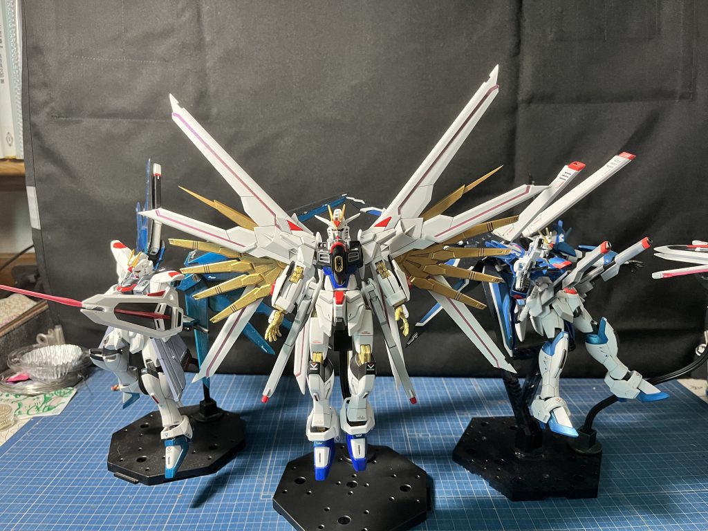 フリーダムが増えてきてます置き場がありません。