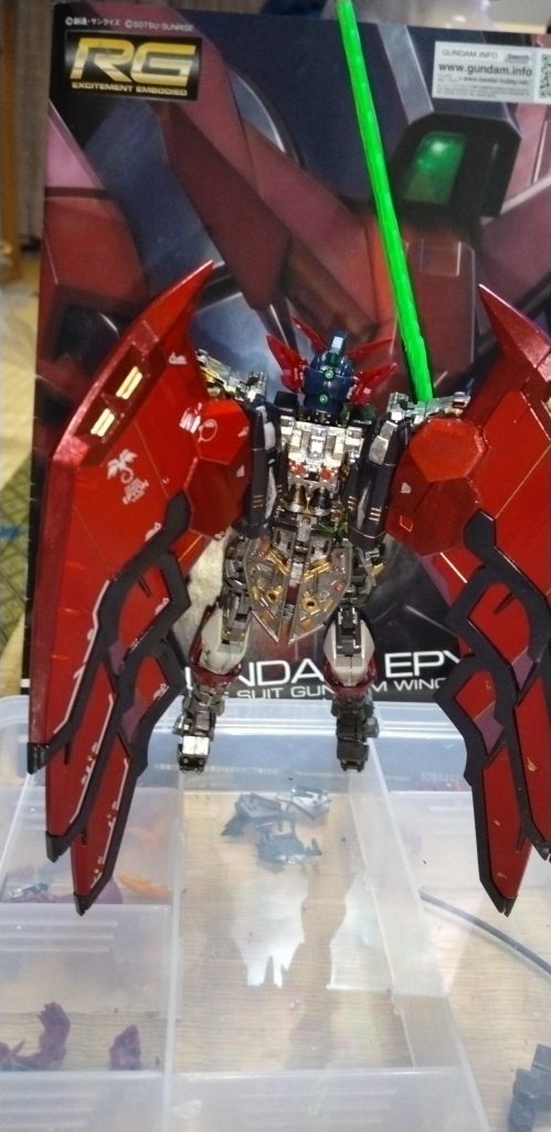 羽根が　かっこいい