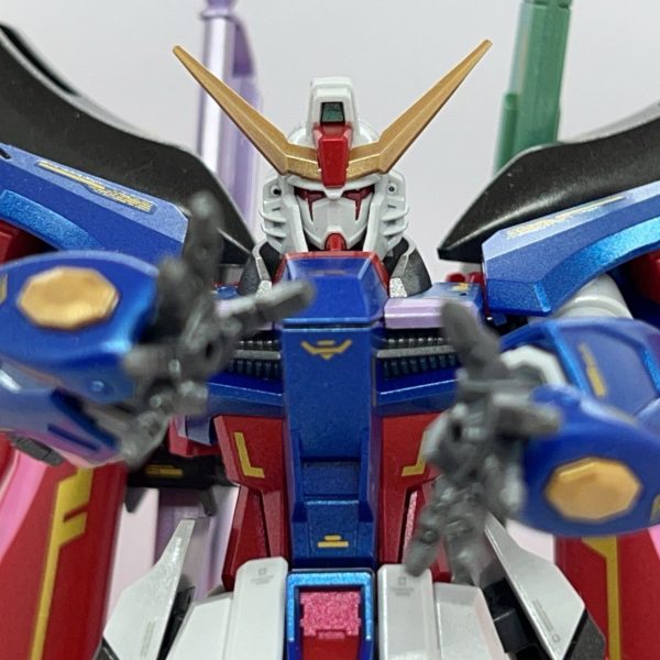 HG デスティニーガンダム