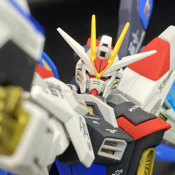 ZGMF/A-262BC ストライクフリーダムガンダム弐式改