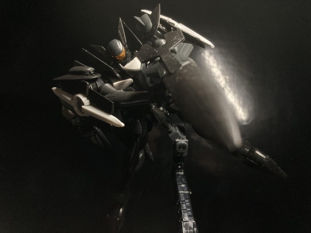 レイン・ブレイヴスを紹介します！撮影日が2022年11月とかなり昔のものですが