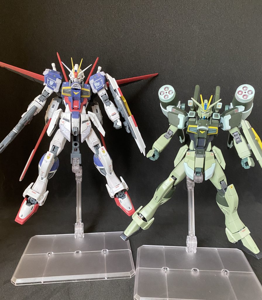 フォースのRGとともに