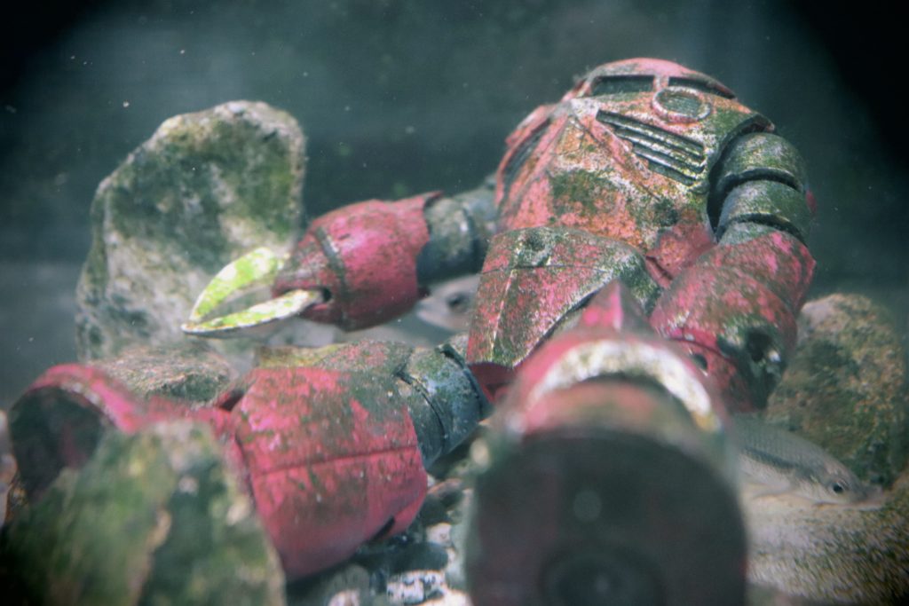 シャア専用ズゴック【水槽漬け】–2枚目/制作者：ひじりネットとスカイちゃん