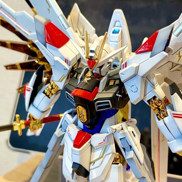 HG マイティーストライクフリーダムガンダム