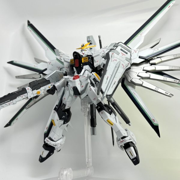 マイティーストライクフリーダム(実戦検証型)