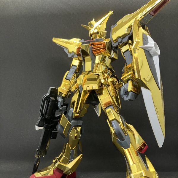 1/100 オオワシアカツキ