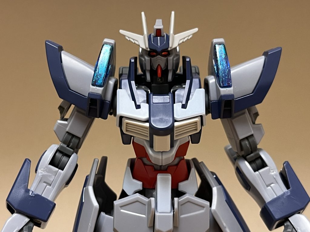 パイロットは、スタージュン(CV:三木眞一郎)。男性。ナチュラル。年齢は、27歳。リベンジャーズの幹部の1人。全身黒尽くめの衣装に長い黒髪、冷たい目をした長身の男性で、仮面の下の素顔はかなりの美形。左頬から首筋に渡り、火傷を思わせる大きなアザがある。普段は黒い仮面で顔を隠しており、表情を窺い知れない。人物像・性格について比較的良識のある性格でもあり、目的の邪魔をする者には容赦無く排除するが、自分に危害を加えない者には一切手を出さない。また、リベンジャーズの中では「新参者の幹部」という立ち位置で、スタージュン本人もそれを弁えており、主であるシンに様付けするのは勿論、彼の恋人・親友・側近にも呼び捨てながら敬語で接し、他の幹部に対しても対等ながら謙虚な姿勢を示している。責任感も強く、謙虚な姿勢も相まって、部下のみならず、癖や個性が強い幹部たちからの人望も厚い。任務失敗時には(王であるシンから咎められなかったとは言え)、言い逃れせずに自ら責任を取ろうとするなど、その生真面目さが伺える。実力について組織内では、王にして最強の存在であるシン・アスカにも比肩するほどの実力者であり、MSはおろか最新鋭MSでも「反応が遅すぎて思う様に体が動かない」と溢すほどのMS操縦技術と戦闘能力、後述のDG細胞による体感同調にも耐え得る強靭な肉体を誇る。加えて、彼自身に秘められた潜在能力と学習能力も恐ろしいレベルに高く、ドラグーンシステムを駆使するのに必要な高い空間認識能力、さらにはアコード達が持つ精神感応能力でさえ、見様見真似で習得できるほど(流石にオリジナルには精度が一歩及ばないが)。自らの専用機である本機の開発が難航していた為、シンからデスティニーとレジェンドを借用したり、一時期はオーブからストライクフリーダムやインフィニットジャスティスを奪取したり、MSを度々乗り換えているが、いずれも満足できない結果になっている。レジェンド:オールレンジ攻撃や射撃戦が主体なのでスタージュンとの相性は良好とは言えず、反応の遅さも考えて、格闘戦を極力控えてすらいる。インフィニットジャスティス:戦闘スタイルの相性自体は悪くなかったが、戦闘中に内部フレームが限界を超えてしまい、右腕を損壊した為、そのまま乗り捨てている。デスティニー・ストライクフリーダム:スタージュンの全力には対応しないものの、細かい装甲分割機構の恩恵もあって「他と比べれば反応が良い」と評価している。