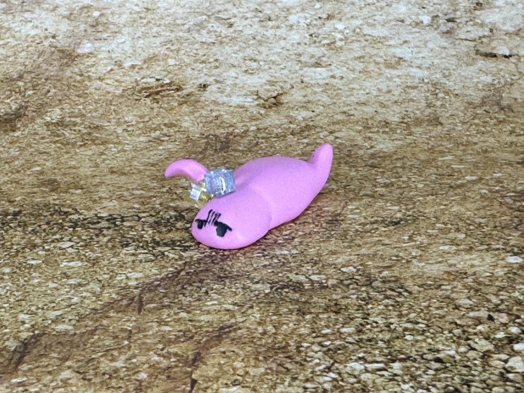 ツチノコ形態　暗いじめじめした場所を好む生物　　「私が…私が下北沢のツチノコです…」　