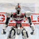 生存報告（挨拶）&nbsp;世間はもうSEED FREEDOMも落ち着いた頃だと[…]