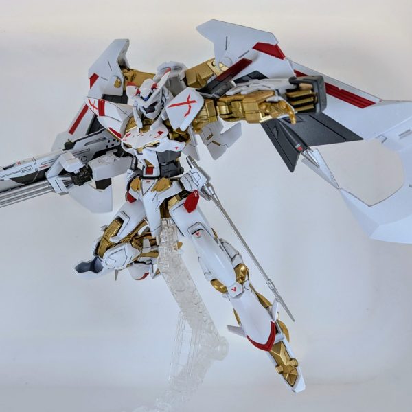 ゴールドフレーム天ハナ