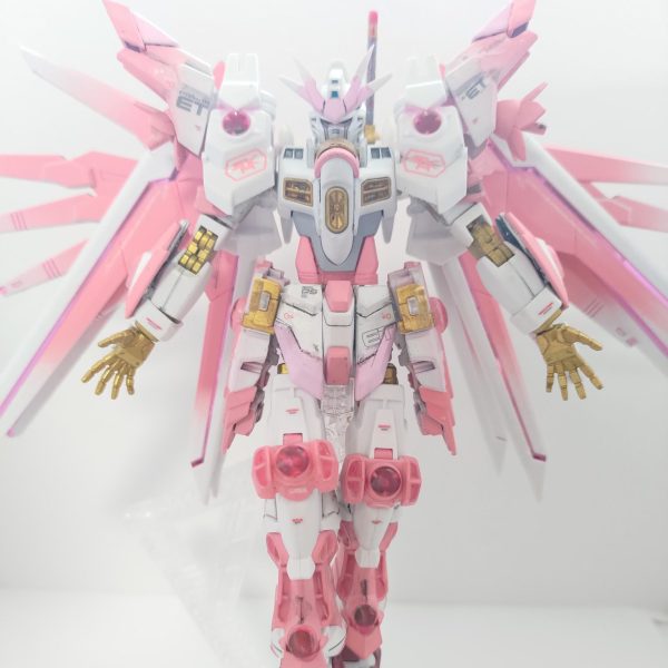 エターナルフリーダムガンダム TYPE-S