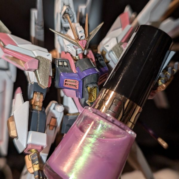 ラクスの愛ティーストライクフリーダムガンダム