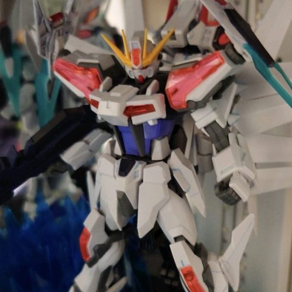 EG ビルドストライク