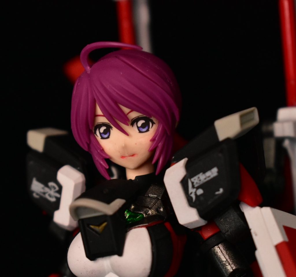 バストアップ 実はFRSルナマリアは頭部のみで体はあばたーふみなで出来てますあばたーふみな モノはいいけどあまり人気がないのか出荷数が多いのかだいたいどこにでも置いてある印象肩のマーキングはRG付属のものを流用ザフトでもフェイスでもないけど気にしないコンパスのエンブレムを早く出して欲しいところ