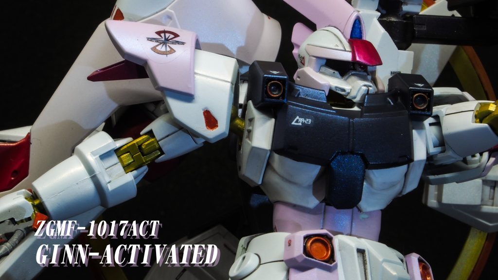 ストライクフリーダムの外装をジンタイプにしたもの、と言う設定。ある種の偽装機体です。