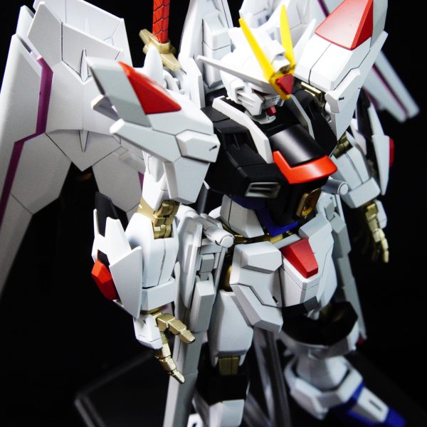 HGCEマイティーストライクフリーダムガンダム