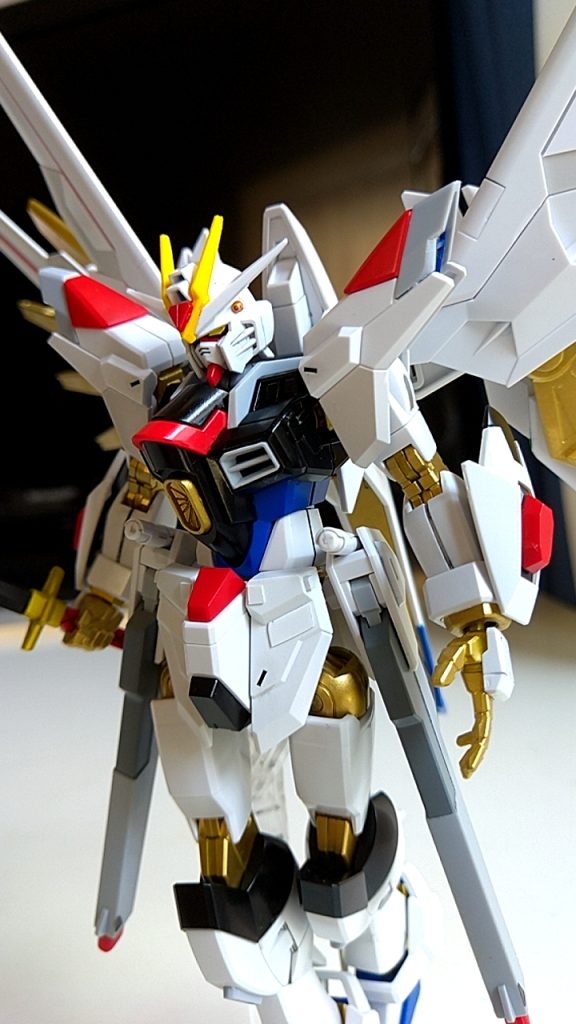 以上、リハビリ中の私ですが、お粗末様でした。