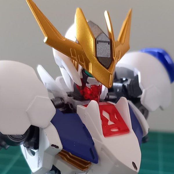 バルバドスルプスレクス　限定カラー