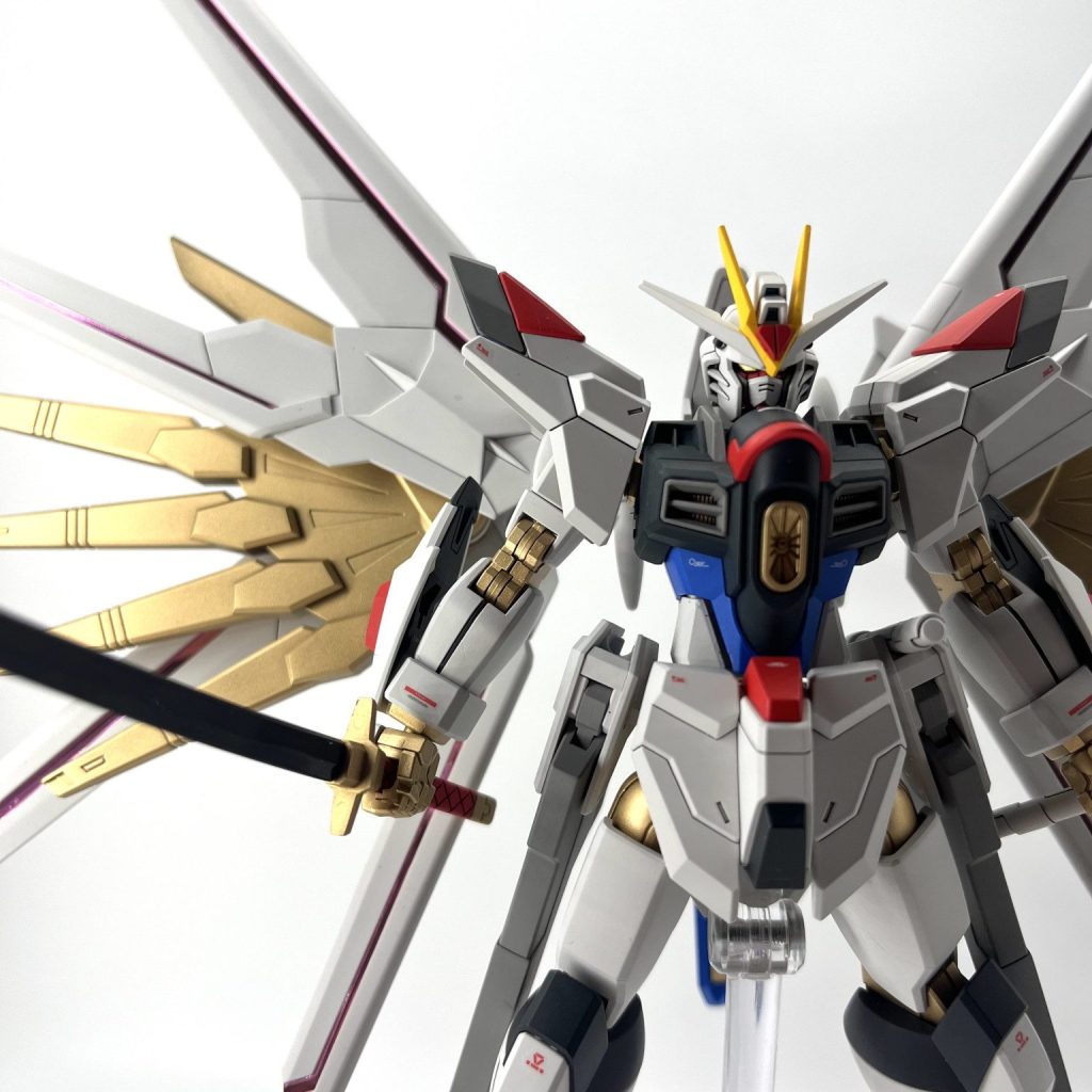 HGCE マイティーストライクフリーダムガンダム｜tattsuokunさんの