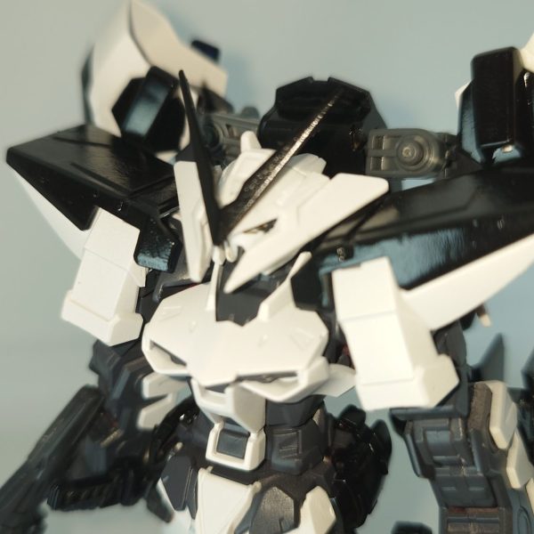 ガンダムアストレイ　ユナイトフレーム