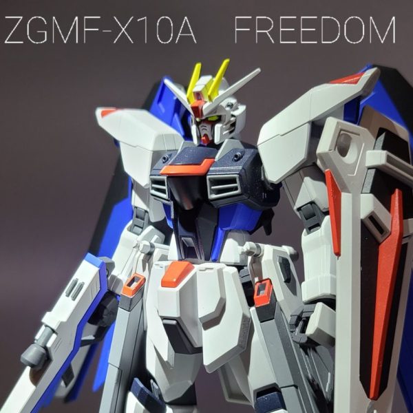 hgce　フリーダムガンダム