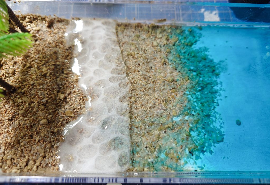 波打ち際特有の網目模様の波ができます。ここでUVライトを当てて硬化させます。