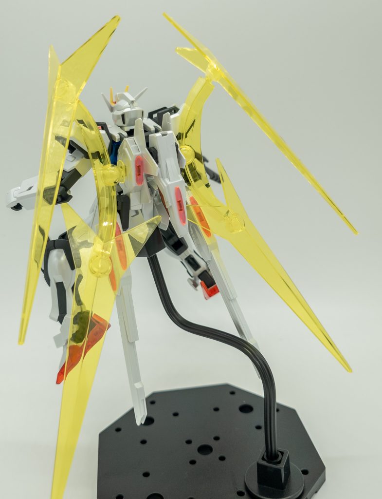バックショットです!