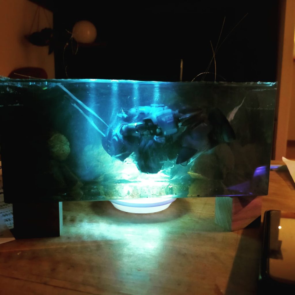 したからライトを当てて夜の海を演出