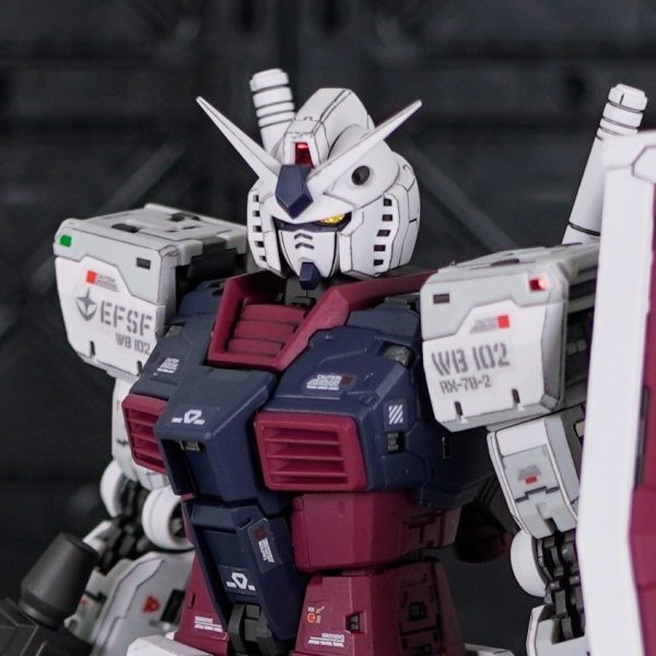 MGEX ストライクフリーダム｜まぐろんGPさんのガンプラ作品