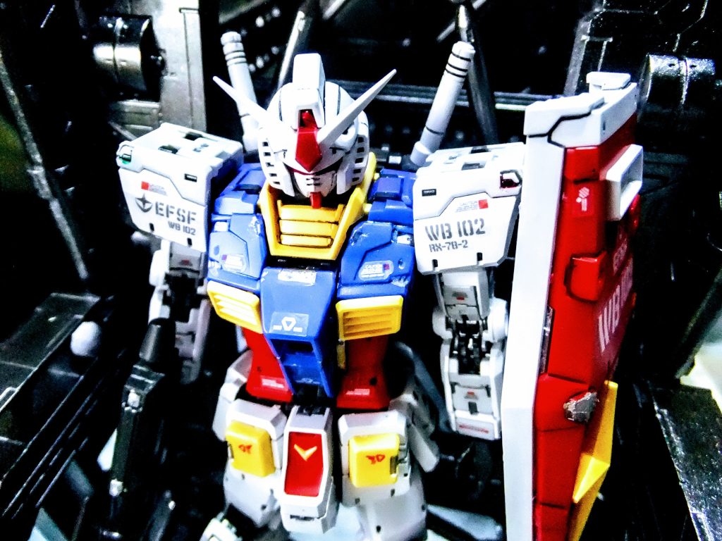 頭上から画像となりマス😁