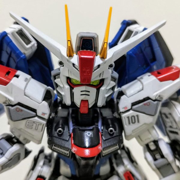 ＭＧＳＤフリーダムガンダム