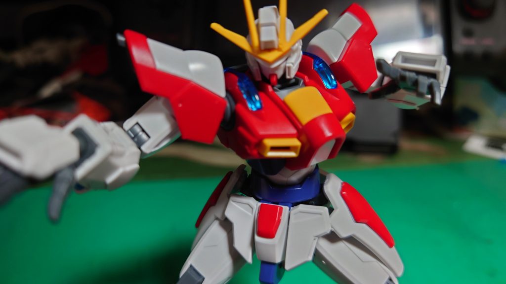 なにか格闘家っぽいポーズないかな？と思ったんですけど 最近ハマってる特撮作品のポーズをしてみました。