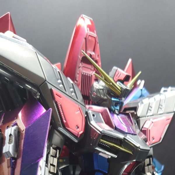 FM　レイダーガンダム　メッキ調