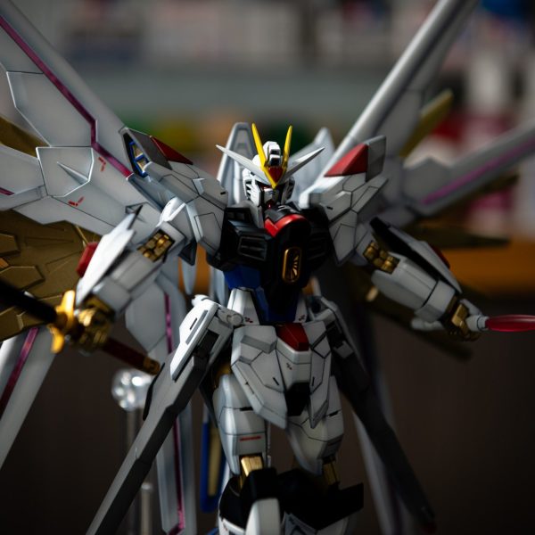 HG マイティストライクフリーダムガンダム