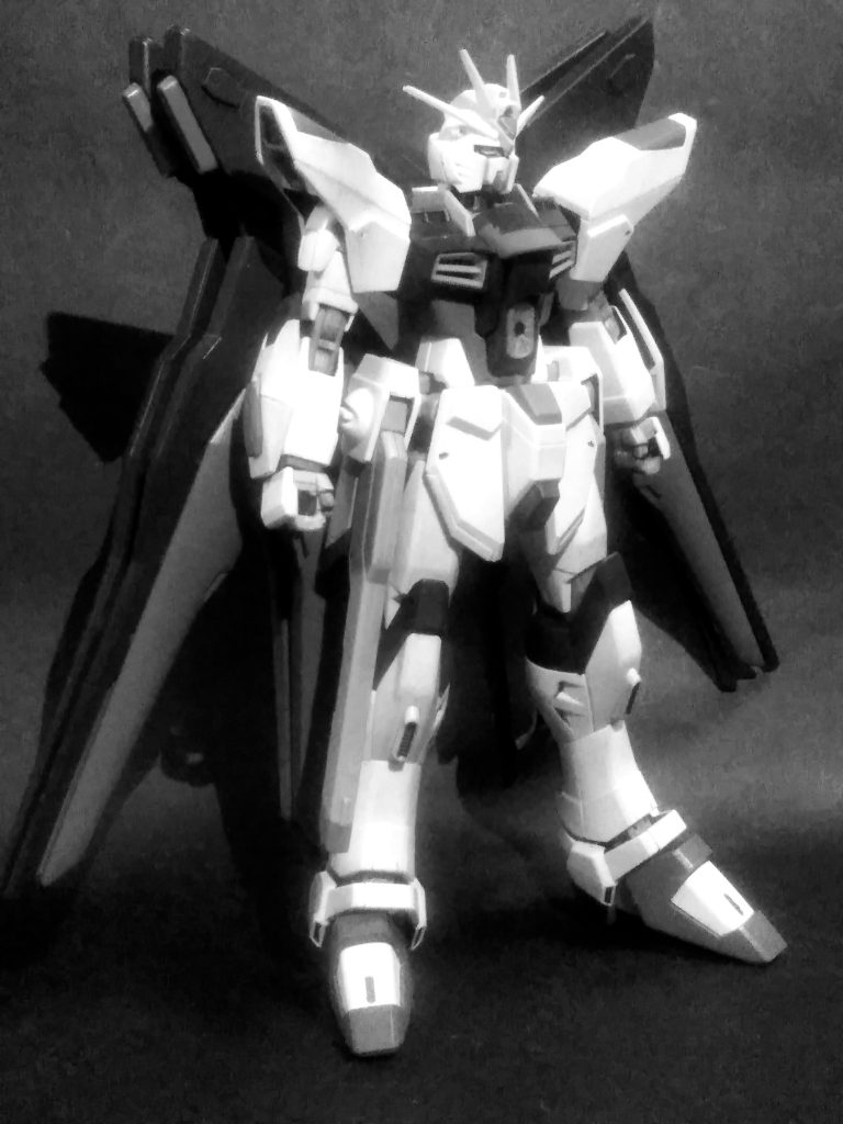                  Next time preview               『 STRIKE FREEDOM GUNDAM❓』                   お目汚し ありがとうございました。